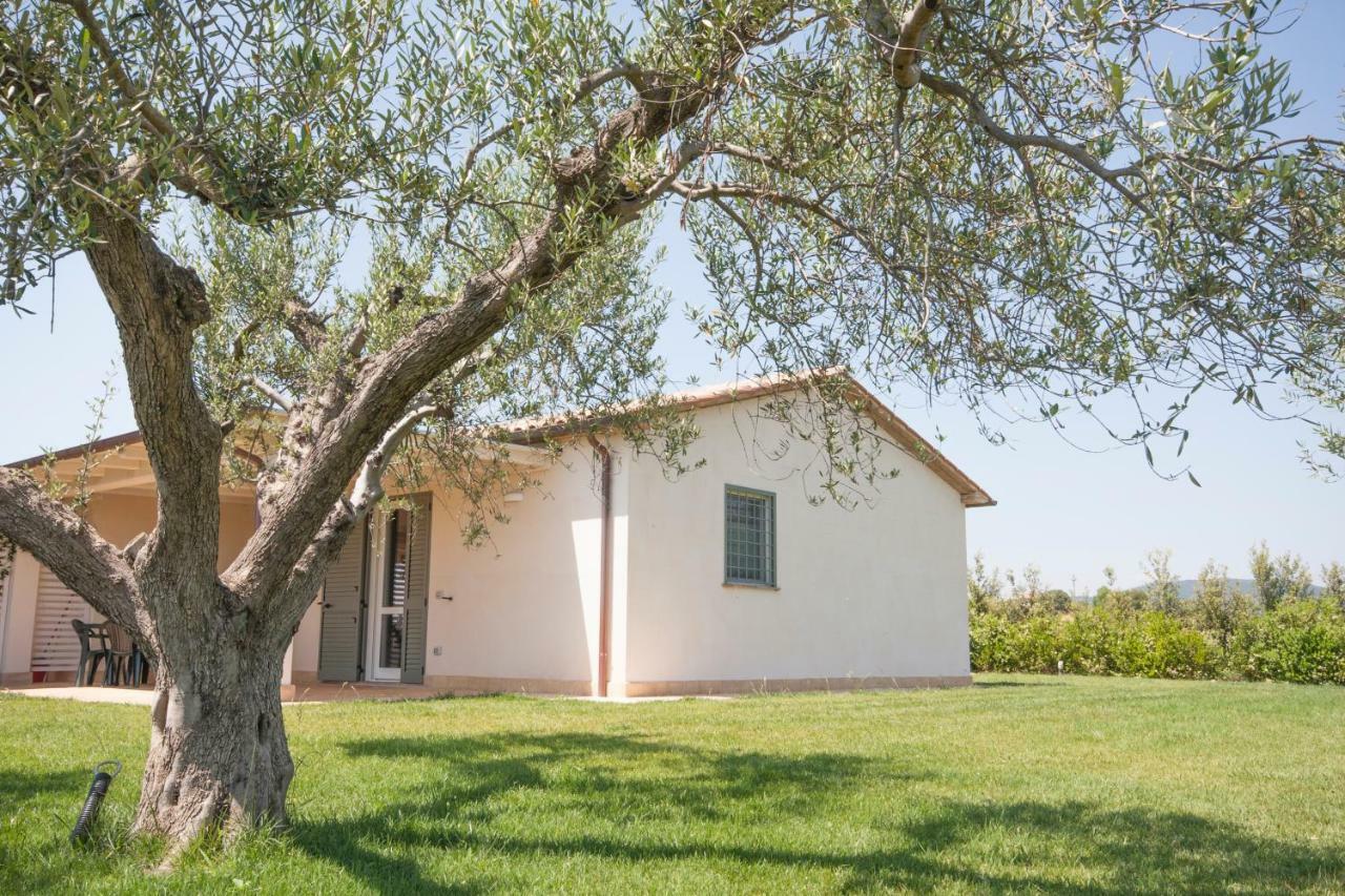 Agriturismo Il Mirto Pescia Romana Dış mekan fotoğraf